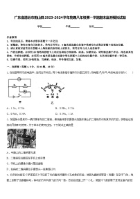 广东省清远市阳山县2023-2024学年物理八年级第一学期期末监测模拟试题含答案