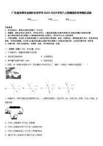 广东省深圳市龙岗区布吉中学2023-2024学年八上物理期末统考模拟试题含答案