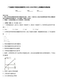 广东省阳江市阳东区星重学校2023-2024学年八上物理期末经典试题含答案