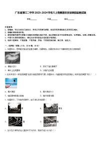 广东省湛江二中学2023-2024学年八上物理期末质量跟踪监视试题含答案