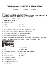 广东省湛江市2023-2024学年物理八年级第一学期期末达标检测试题含答案