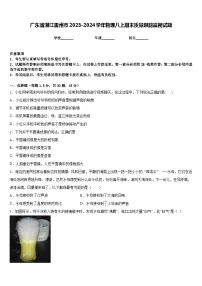 广东省湛江雷州市2023-2024学年物理八上期末质量跟踪监视试题含答案