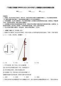 广东阳江市阳春八甲中学2023-2024学年八上物理期末达标检测模拟试题含答案