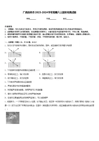 广西百色市2023-2024学年物理八上期末经典试题含答案