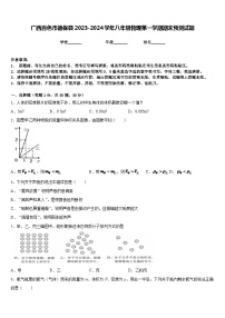 广西百色市德保县2023-2024学年八年级物理第一学期期末预测试题含答案