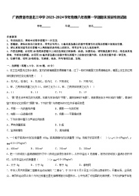 广西贵港市港北三中学2023-2024学年物理八年级第一学期期末质量检测试题含答案