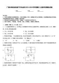 广西壮族自治区南宁市马山县2023-2024学年物理八上期末检测模拟试题含答案