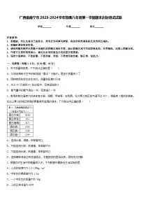 广西省南宁市2023-2024学年物理八年级第一学期期末达标测试试题含答案