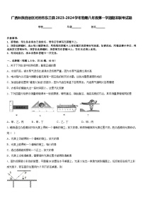 广西壮族自治区河池市东兰县2023-2024学年物理八年级第一学期期末联考试题含答案