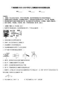 广西田阳县2023-2024学年八上物理期末综合测试模拟试题含答案