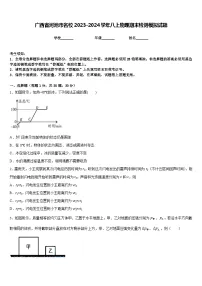 广西省河池市名校2023-2024学年八上物理期末检测模拟试题含答案