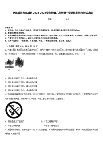 广西防城港市防城区2023-2024学年物理八年级第一学期期末综合测试试题含答案