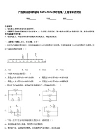 广西贺州昭平县联考2023-2024学年物理八上期末考试试题含答案