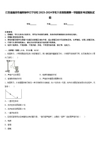 江苏省南京市南师附中江宁分校2023-2024学年八年级物理第一学期期末考试模拟试题含答案