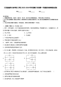 江苏省南师大附中树人学校2023-2024学年物理八年级第一学期期末调研模拟试题含答案