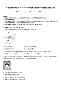 江苏省扬州市宝应县2023-2024学年物理八年级第一学期期末监测模拟试题含答案