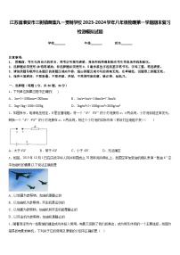 江苏省淮安市三树镇蒋集九一贯制学校2023-2024学年八年级物理第一学期期末复习检测模拟试题含答案