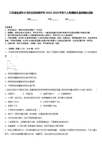 江苏省盐城市大丰区实验初级中学2023-2024学年八上物理期末监测模拟试题含答案