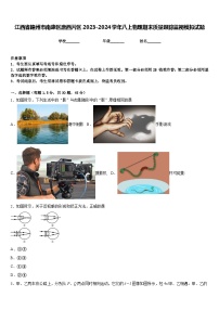 江西省赣州市南康区唐西片区2023-2024学年八上物理期末质量跟踪监视模拟试题含答案