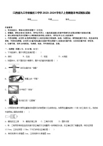 江西省九江市柴桑区三中学2023-2024学年八上物理期末考试模拟试题含答案