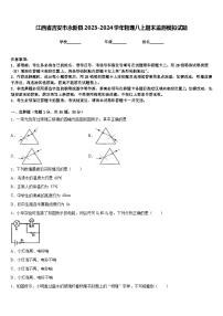 江西省吉安市永新县2023-2024学年物理八上期末监测模拟试题含答案