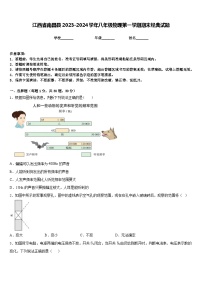 江西省南昌县2023-2024学年八年级物理第一学期期末经典试题含答案