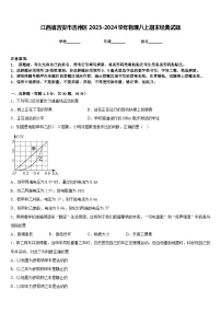 江西省吉安市吉州区2023-2024学年物理八上期末经典试题含答案