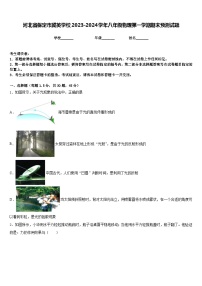 河北省保定市冀英学校2023-2024学年八年级物理第一学期期末预测试题含答案