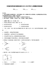 河北省沧州市孟村回族自治县2023-2024学年八上物理期末预测试题含答案