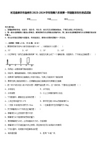 河北省廊坊市霸州市2023-2024学年物理八年级第一学期期末综合测试试题含答案