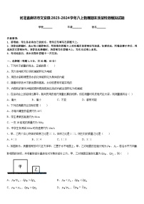 河北省廊坊市文安县2023-2024学年八上物理期末质量检测模拟试题含答案