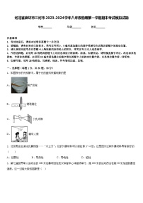 河北省廊坊市三河市2023-2024学年八年级物理第一学期期末考试模拟试题含答案