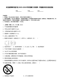 河北省邯郸市复兴区2023-2024学年物理八年级第一学期期末综合测试试题含答案