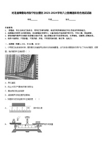 河北省秦皇岛市抚宁区台营区2023-2024学年八上物理期末综合测试试题含答案