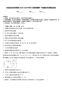 河北省石家庄桥西区2023-2024学年八年级物理第一学期期末检测模拟试题含答案