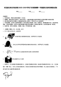 河北省石家庄市高邑县2023-2024学年八年级物理第一学期期末达标检测模拟试题含答案