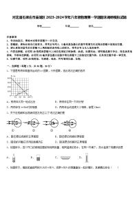 河北省石家庄市藁城区2023-2024学年八年级物理第一学期期末调研模拟试题含答案