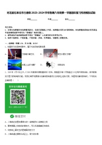 河北省石家庄市行唐县2023-2024学年物理八年级第一学期期末复习检测模拟试题含答案