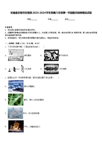 河南省安阳市安阳县2023-2024学年物理八年级第一学期期末调研模拟试题含答案