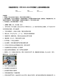 河南省安阳市正一中学2023-2024学年物理八上期末调研模拟试题含答案