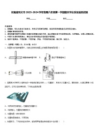 河南省巩义市2023-2024学年物理八年级第一学期期末学业质量监测试题含答案