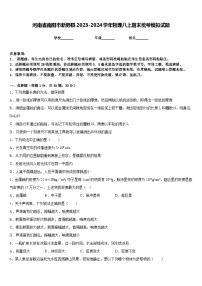 河南省南阳市新野县2023-2024学年物理八上期末统考模拟试题含答案