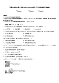 河南省平顶山宝丰县联考2023-2024学年八上物理期末预测试题含答案