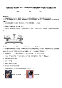 河南省新乡市卫辉市2023-2024学年八年级物理第一学期期末监测模拟试题含答案