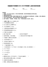 河南省新乡市原阳县2023-2024学年物理八上期末质量检测试题含答案