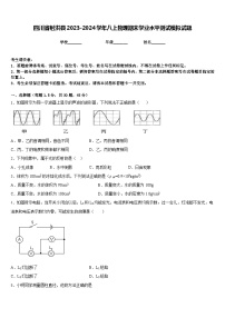 四川省射洪县2023-2024学年八上物理期末学业水平测试模拟试题含答案