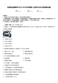 安徽省芜湖县联考2023-2024学年物理八上期末学业水平测试模拟试题含答案