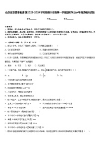 山东省东营市利津县2023-2024学年物理八年级第一学期期末学业水平测试模拟试题含答案