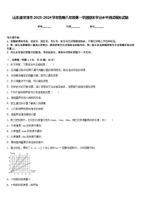 山东省菏泽市2023-2024学年物理八年级第一学期期末学业水平测试模拟试题含答案