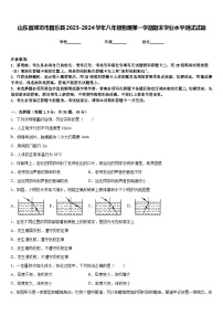 山东省潍坊市昌乐县2023-2024学年八年级物理第一学期期末学业水平测试试题含答案